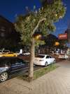Отель Skyline Hotel Yerevan Ереван-5