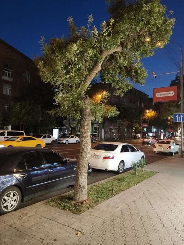 Отель Skyline Hotel Yerevan Ереван-8
